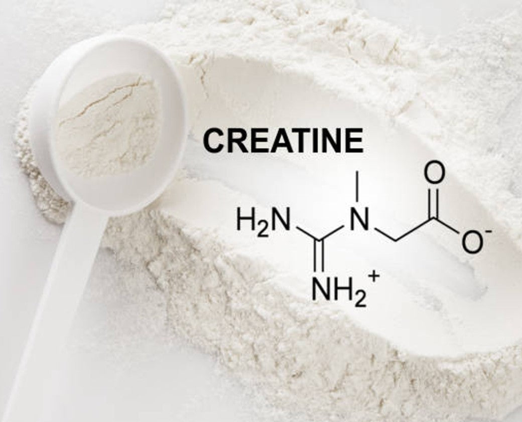 creatine supplement powder with scoop