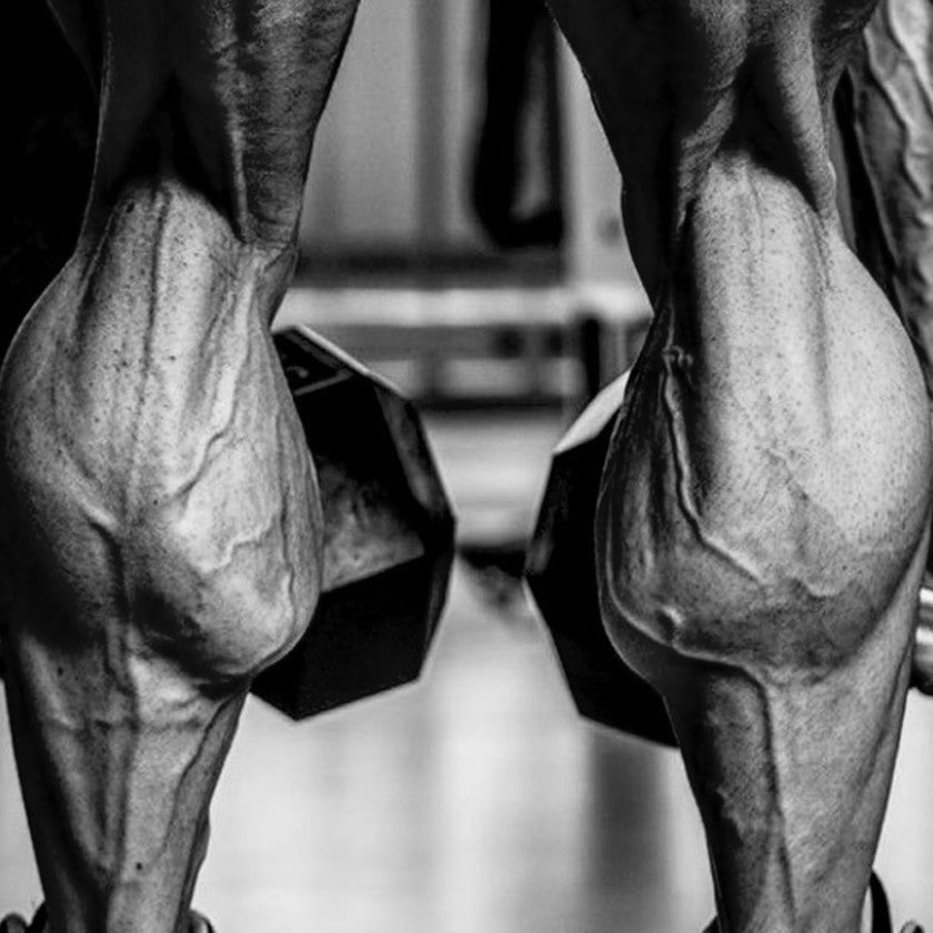 a male bodybuilder showing off his huge calf muscles while training in the gym