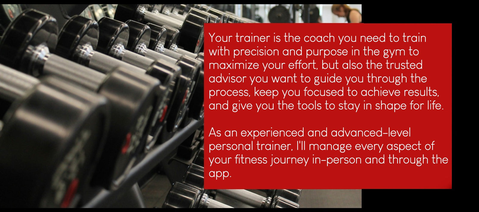 a dumbbell rack in a gym showcasing the range of dumbbells.