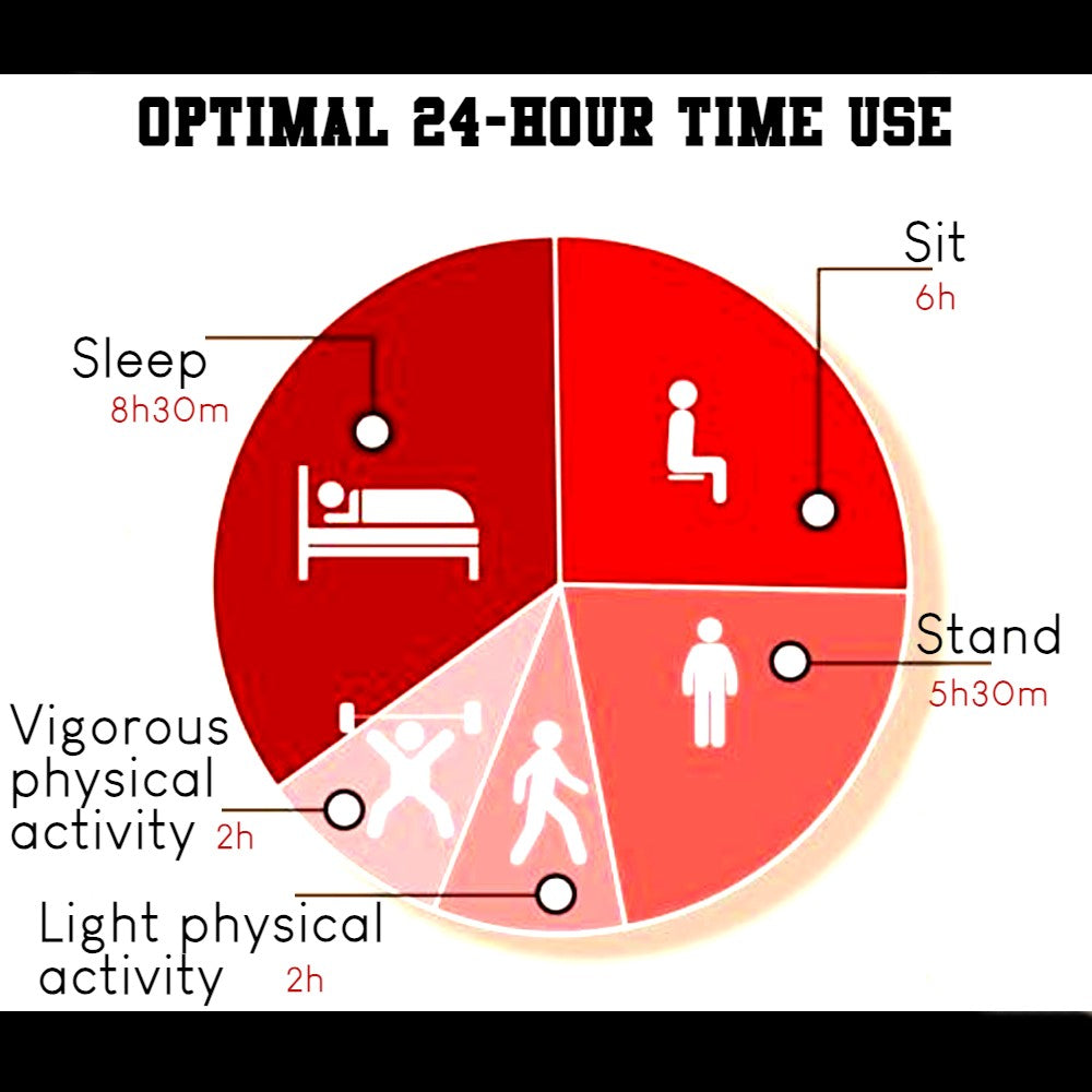 an educational diagram of an optimal healthy 24 hour timeline for a human